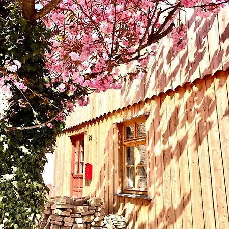 Gemuetliche Oekologische Dg Innenstadt *