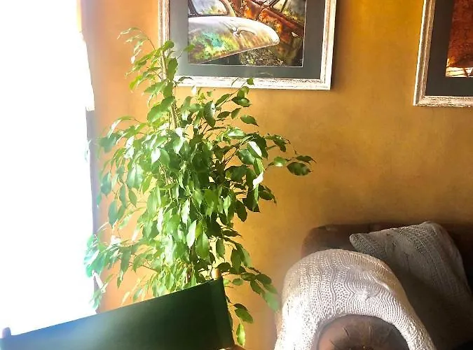 Διαμέρισμα Gemuetliche Oekologische Ferienwohnung Dg Innenstadt *