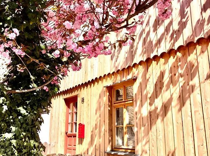 Gemuetliche Oekologische Ferienwohnung Dg Innenstadt *