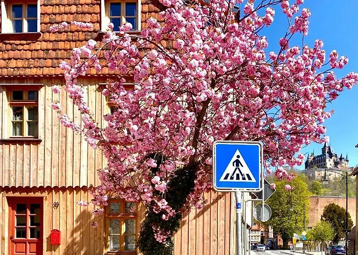 Gemuetliche Oekologische Ferienwohnung Dg Innenstadt Wernigerode